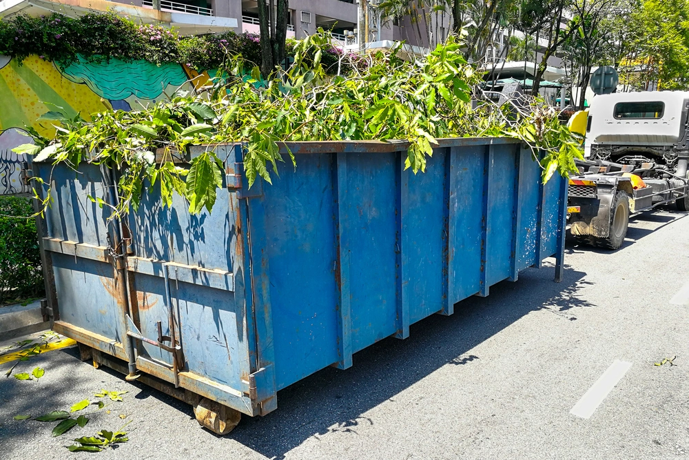 When do you need tree debris removal services in Pasadena, CA?